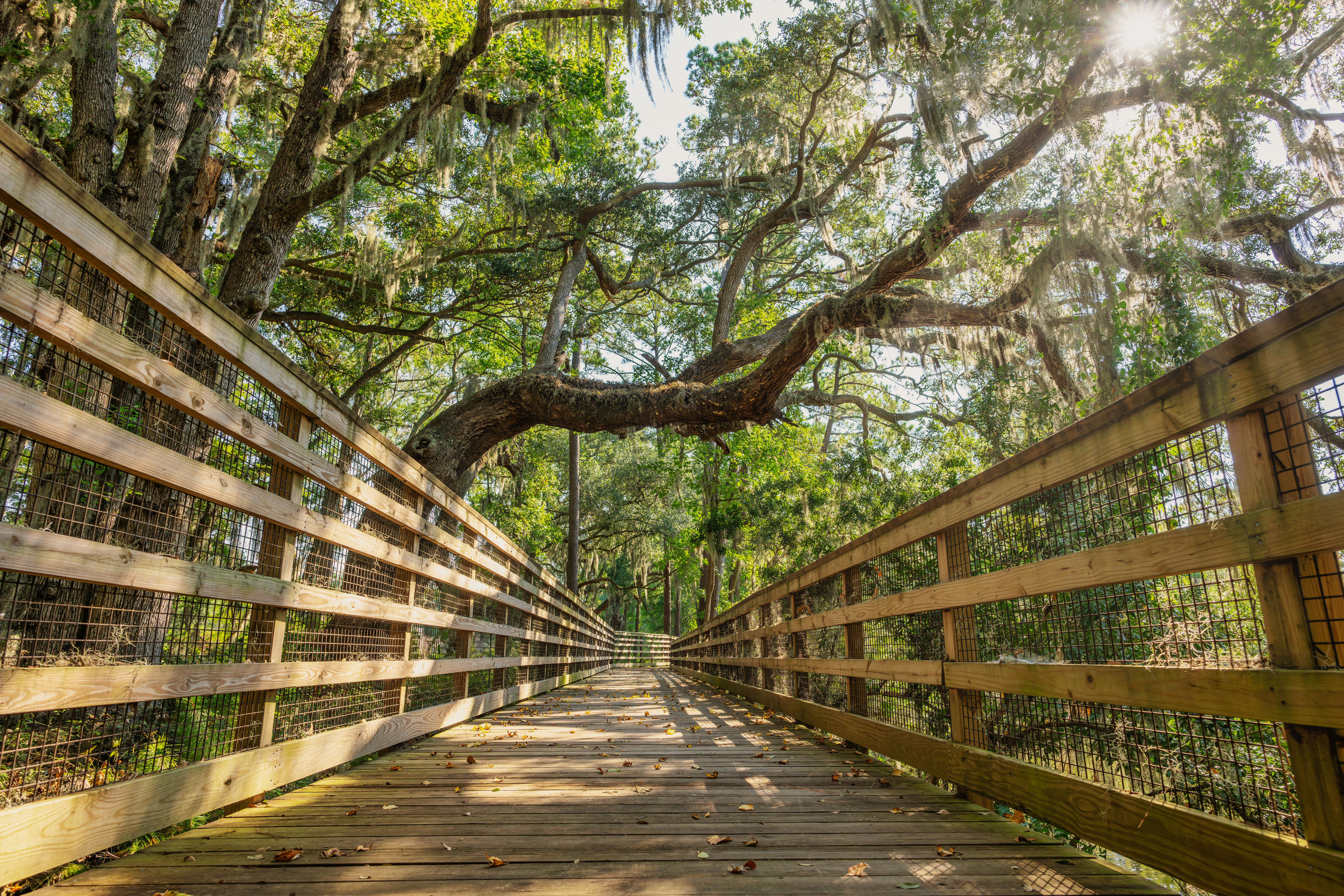 Thing To Do Parks and Outdoor Activities 